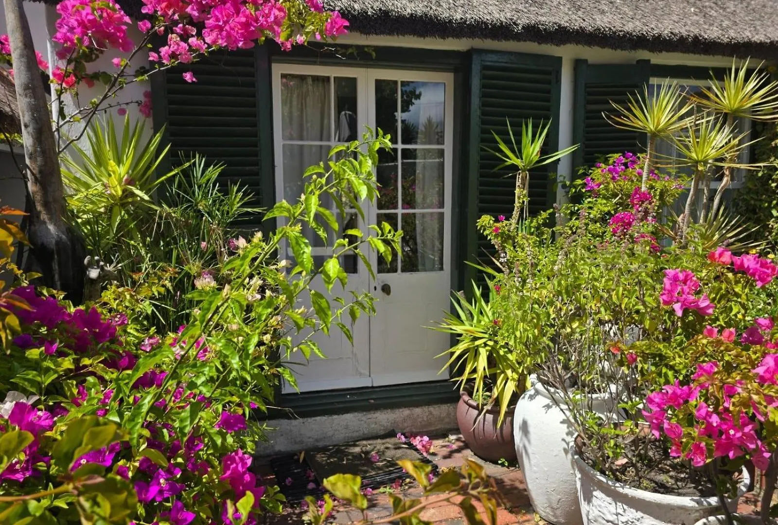 Meyerhof Apartment Cape Town South Africa